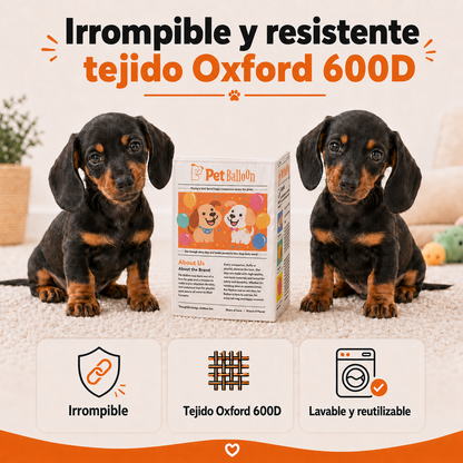 Periódico Mordedor para Cachorros.