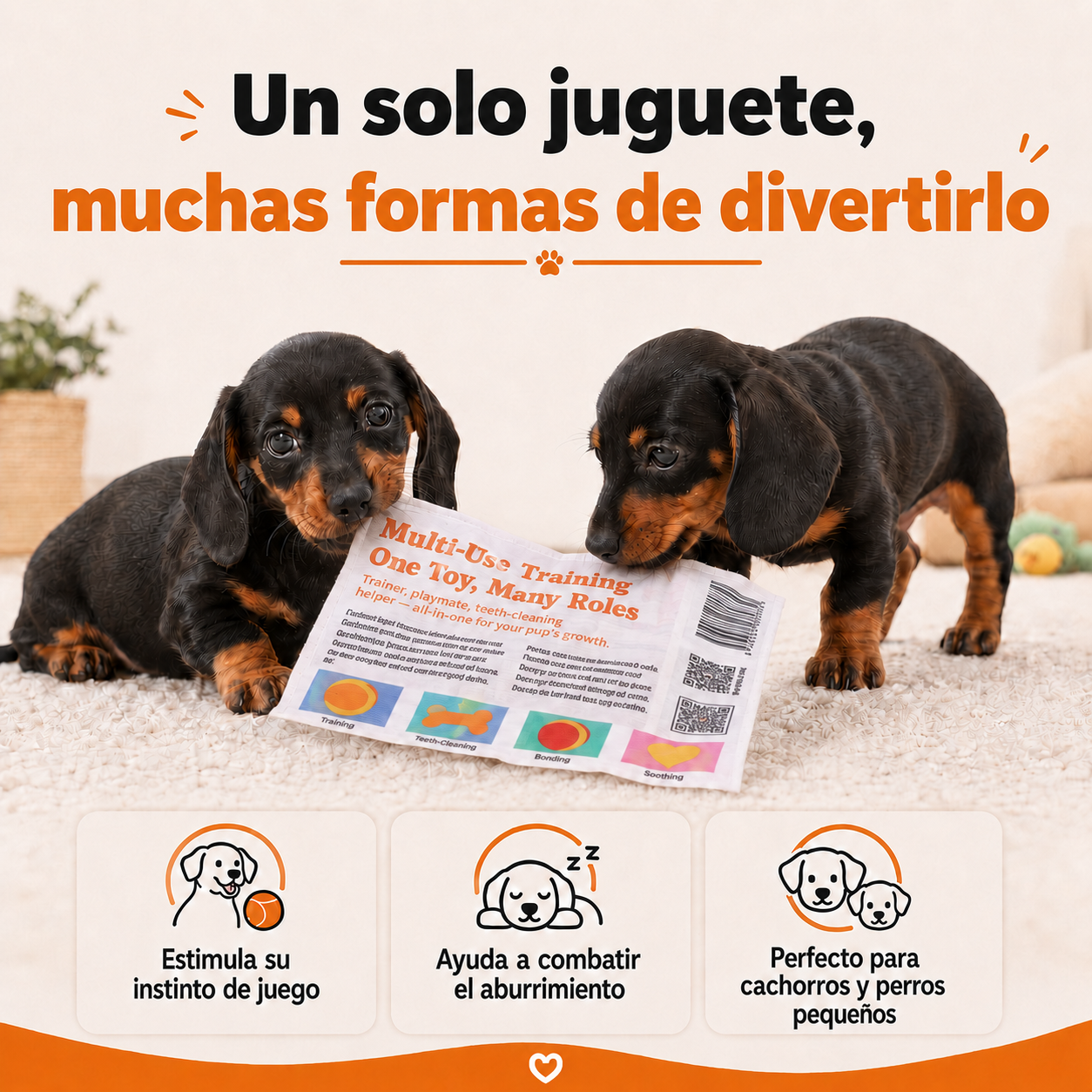 Periódico Mordedor para Cachorros.
